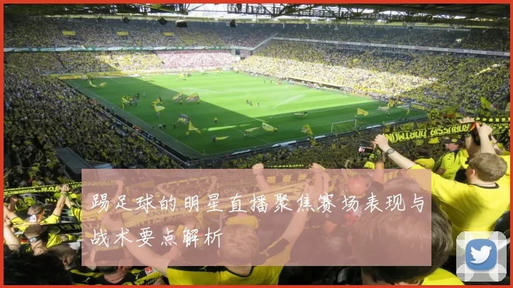 踢足球的明星直播聚焦赛场表现与战术要点解析