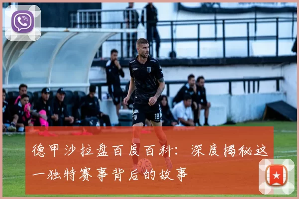 德甲沙拉盘百度百科：深度揭秘这一独特赛事背后的故事