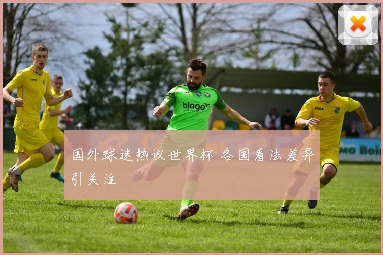 国外球迷热议世界杯 各国看法差异引关注