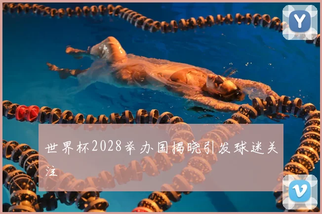 世界杯2028举办国揭晓引发球迷关注