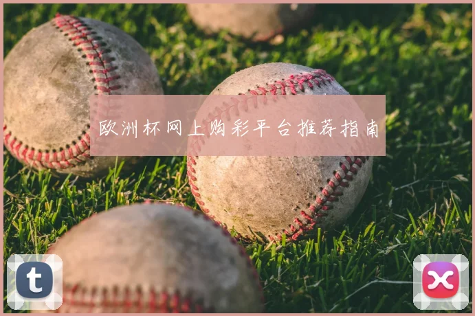 欧洲杯网上购彩平台推荐指南
