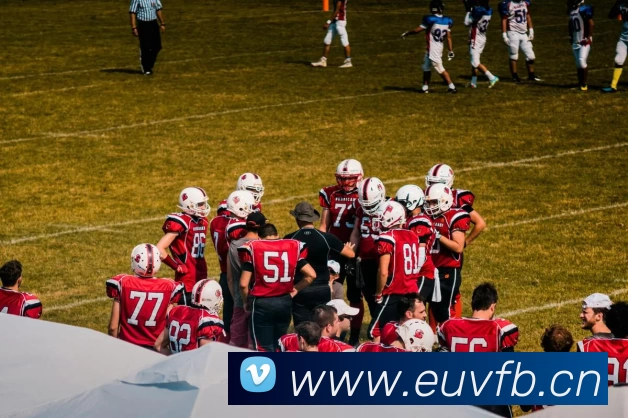 多媒体互动体验